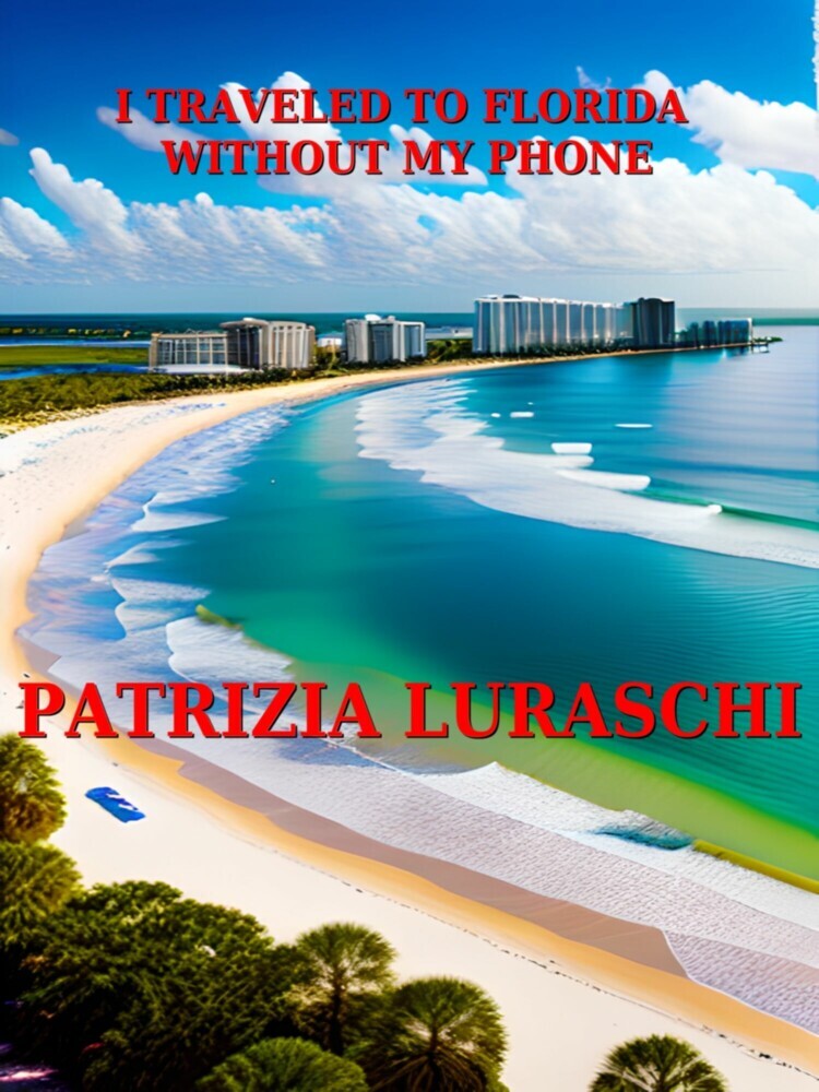 I traveled to Florida without my phone main product photo