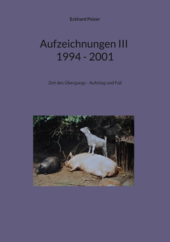 Aufzeichnungen III; 1994 - 2001 main product photo