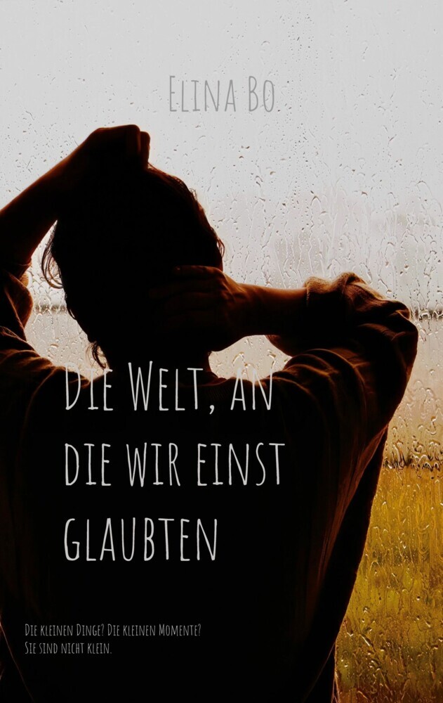 Die Welt, an die wir einst glaubten main product photo