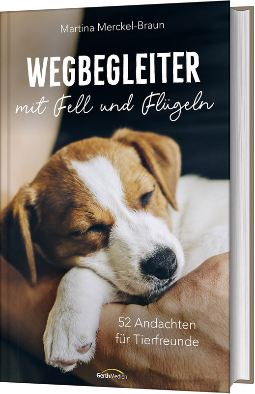 Wegbegleiter mit Fell und Flügeln main product photo