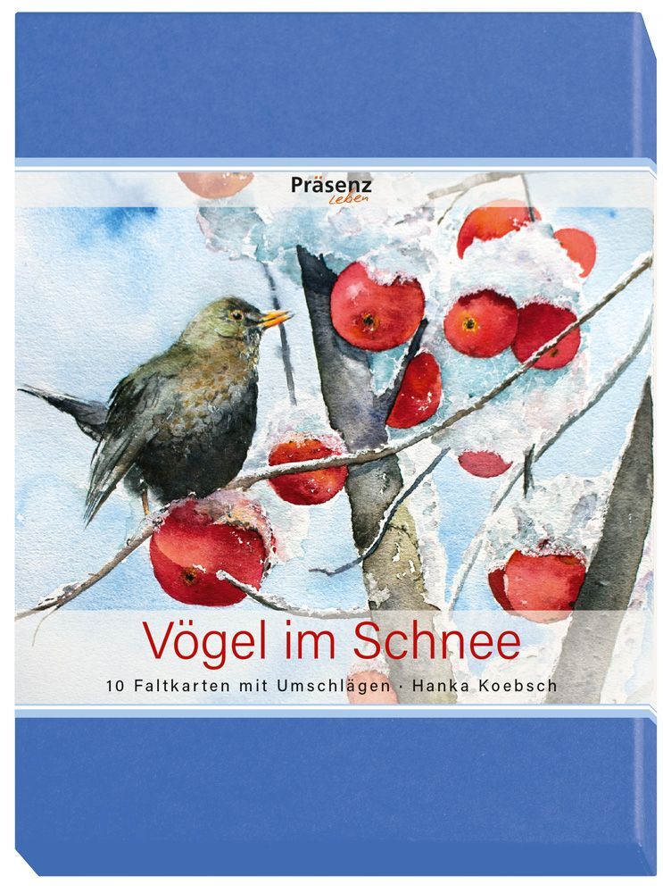 KK-Serie Vögel im Schnee main product photo