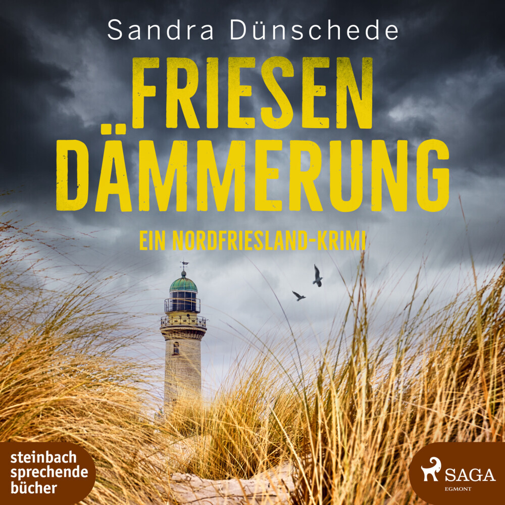 Friesendämmerung, 1 Audio-CD, MP3 main product photo