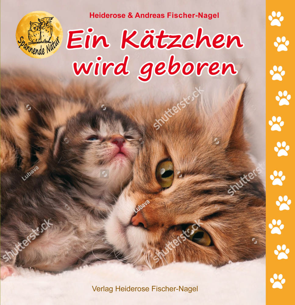Ein Kätzchen wird geboren main product photo