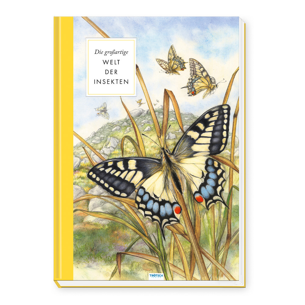 Trötsch Sachbuch Die großartige Welt der Insekten main product photo