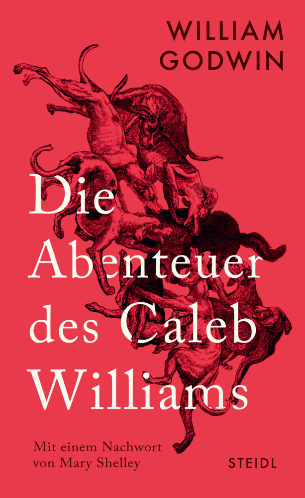 Die Abenteuer des Caleb Williams main product photo