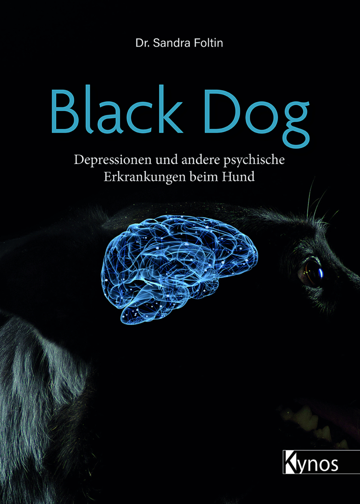 Black Dog main product photo