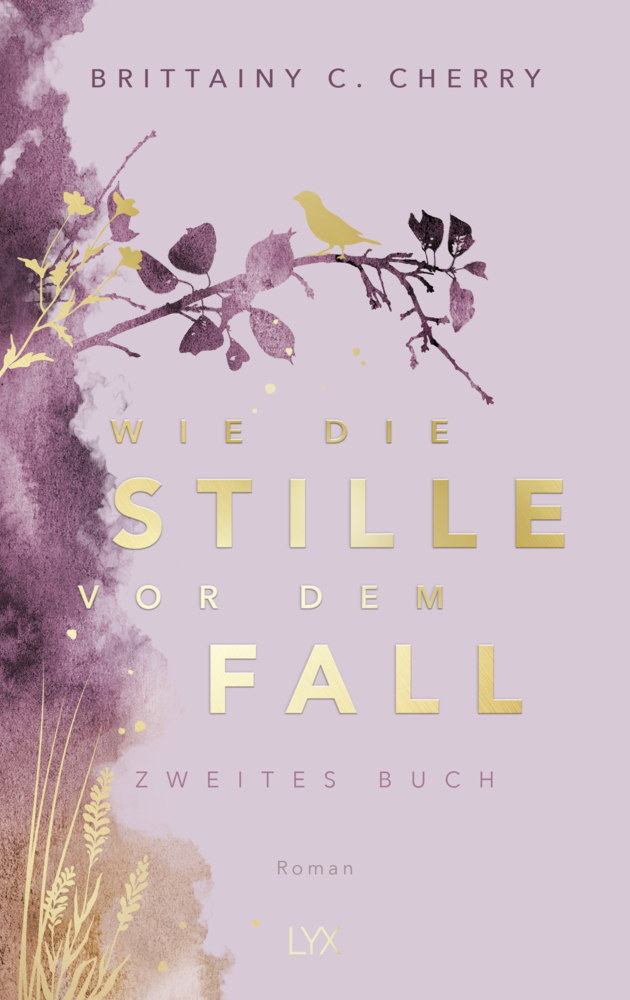 Wie die Stille vor dem Fall. Zweites Buch: Special Edition main product photo