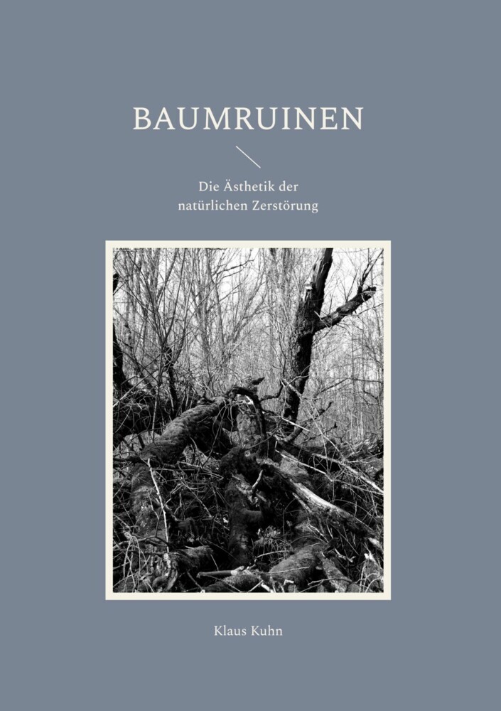 Baumruinen main product photo