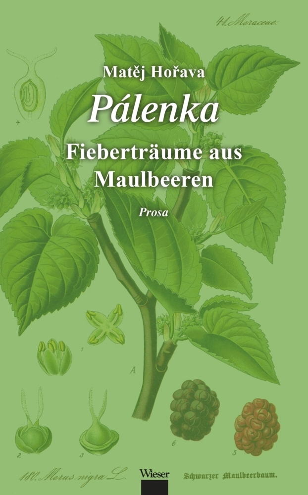 Pálenka main product photo