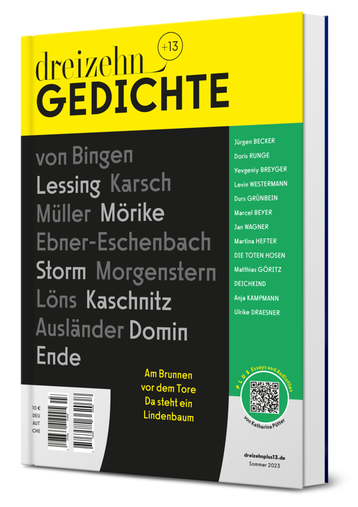 dreizehn +13 Gedichte main product photo
