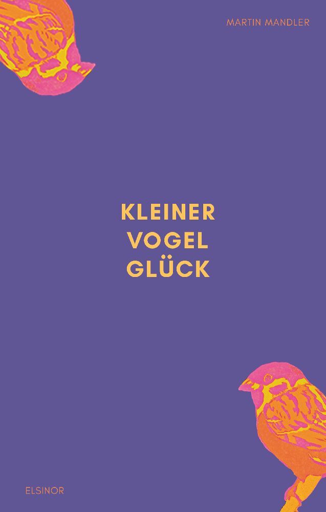 Kleiner Vogel Glück main product photo