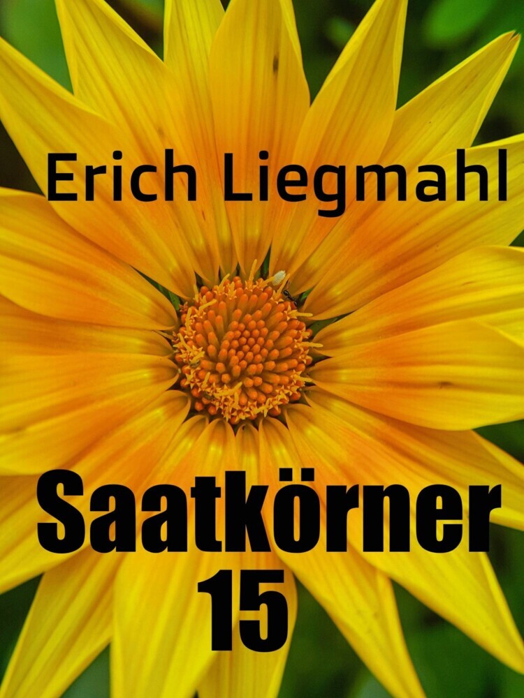 Saatkörner 15 main product photo