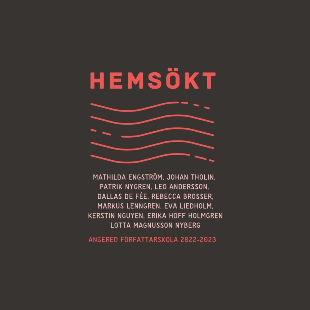 Hemsökt main product photo