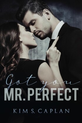 Got You, Mr. Perfect