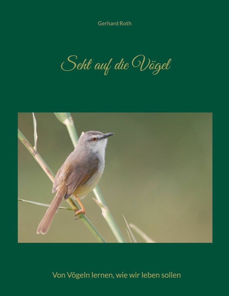 Seht auf die Vögel main product photo