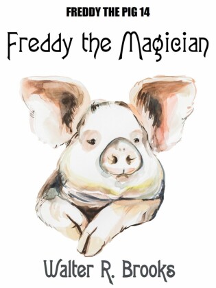 Freddy the Magician