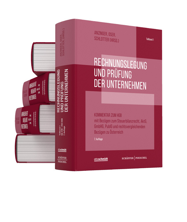 Rechnungslegung und Prüfung der Unternehmen, 5 Bände (Pflichtabnahme) main product photo