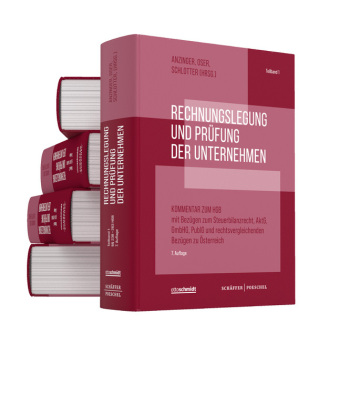 Rechnungslegung und Prüfung der Unternehmen, 5 Bände (Pflichtabnahme)