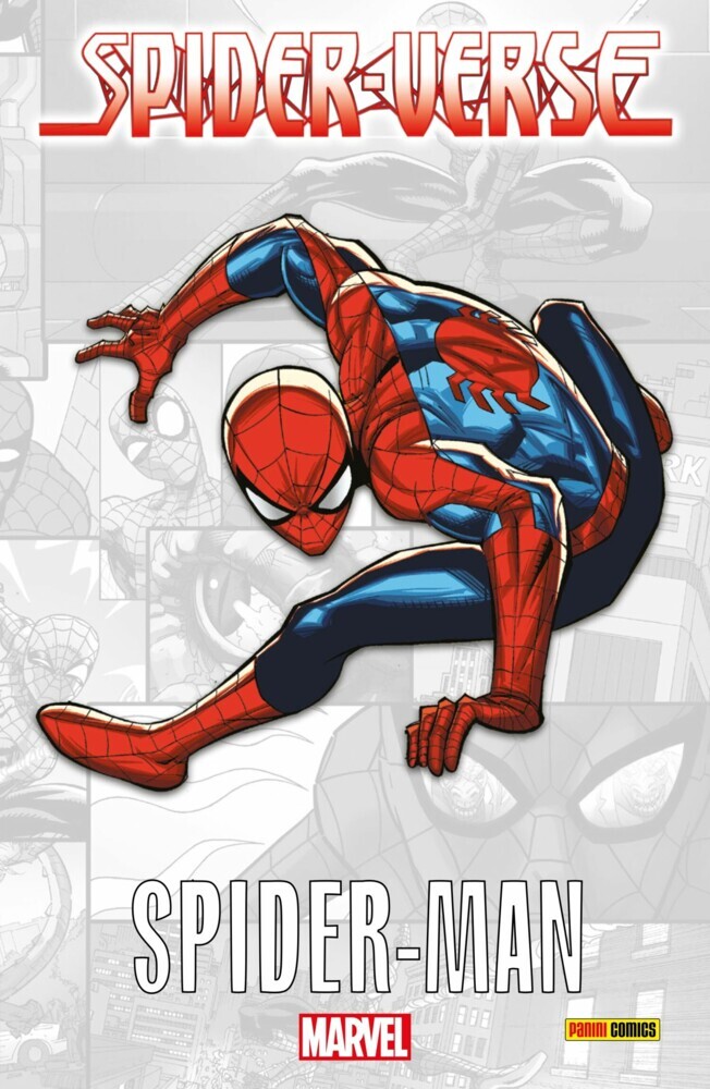 SPIDER-VERSE: SPIDER-MAN main product photo