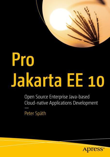 Pro Jakarta EE 10 main product photo