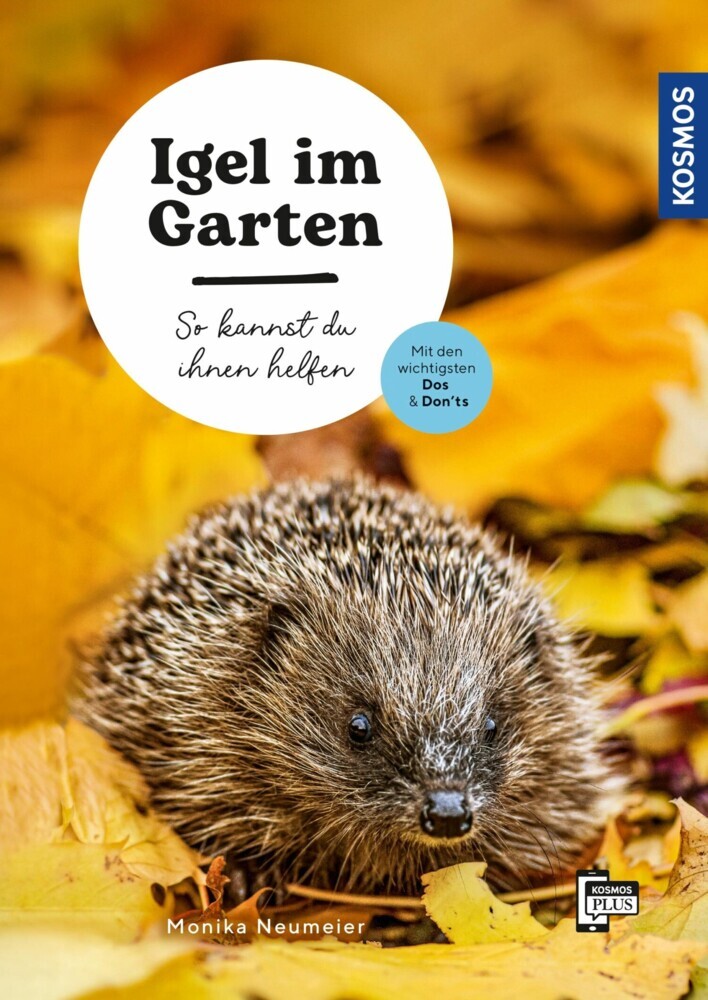 Igel im Garten main product photo