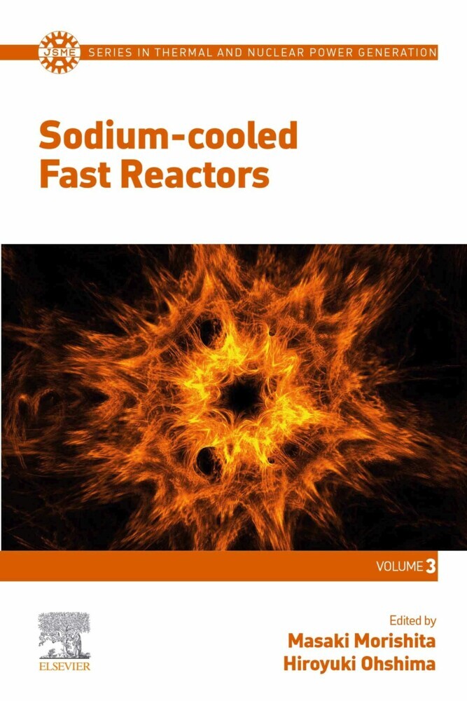 Sodium-cooled Fast Reactors main product photo