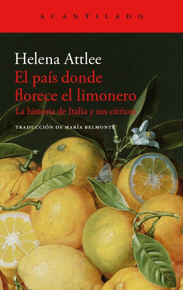 El país donde florece el limonero main product photo