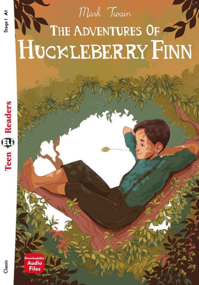 The Adventures of Huckleberry Finn main product photo