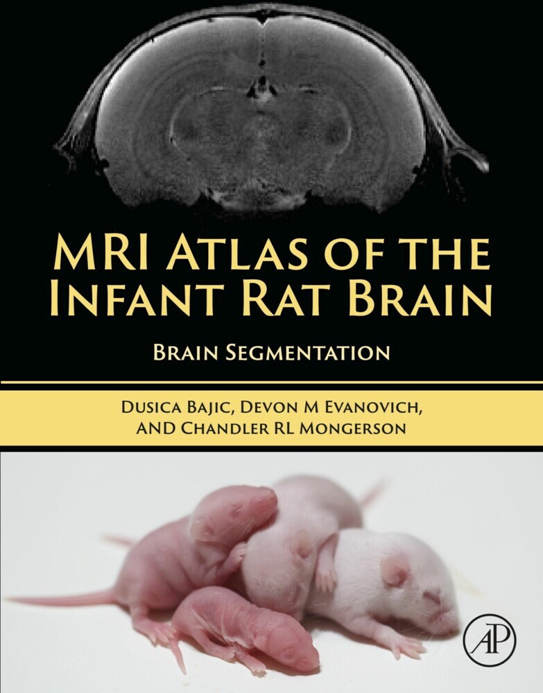 MRI Atlas of the Infant Rat Brain main product photo