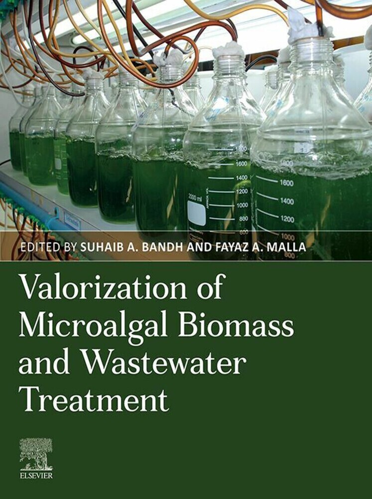 Valorization of Microalgal Biomass and Wastewater Treatment main product photo