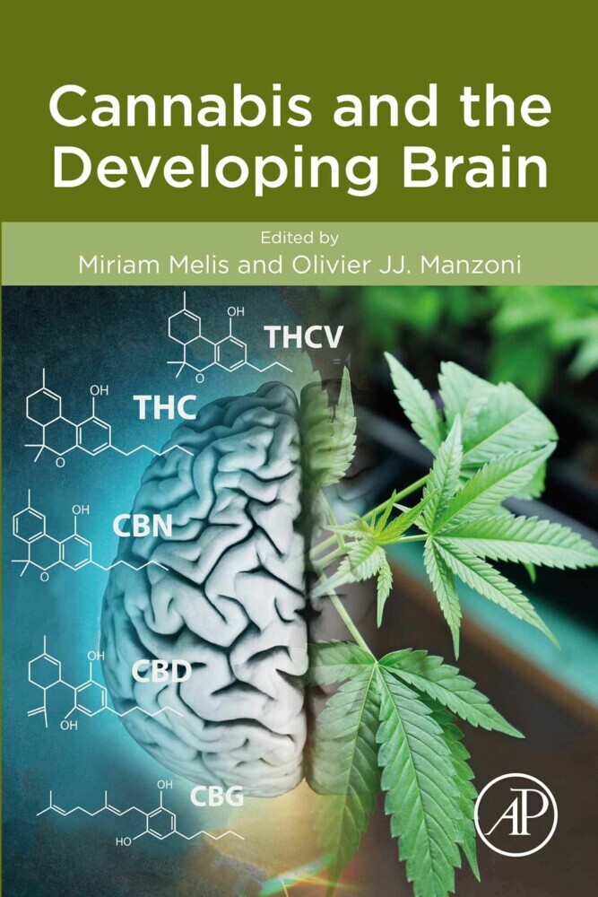 Cannabis and the Developing Brain main product photo