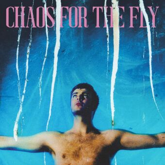 Chaos For The Fly, 1 Audio-CD