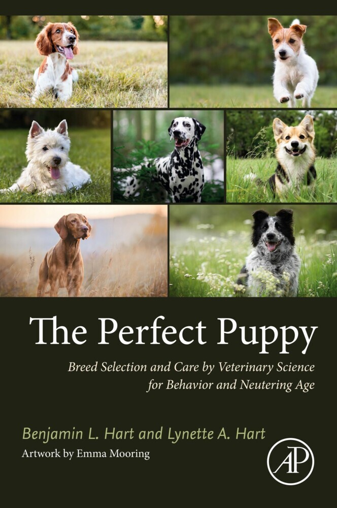 The Perfect Puppy main product photo