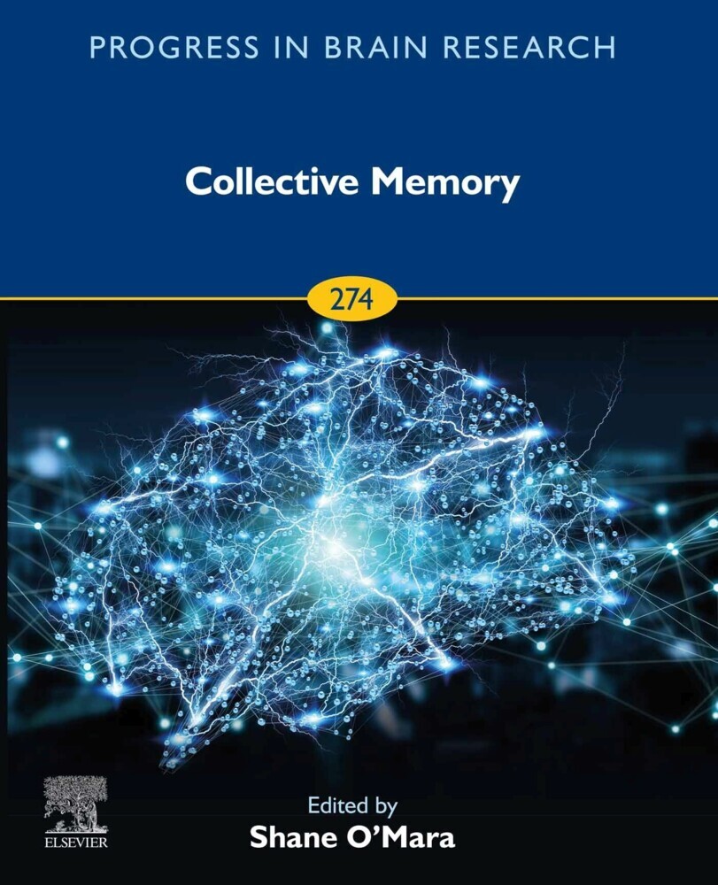 Collective Memory main product photo