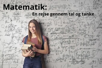 Matematik: