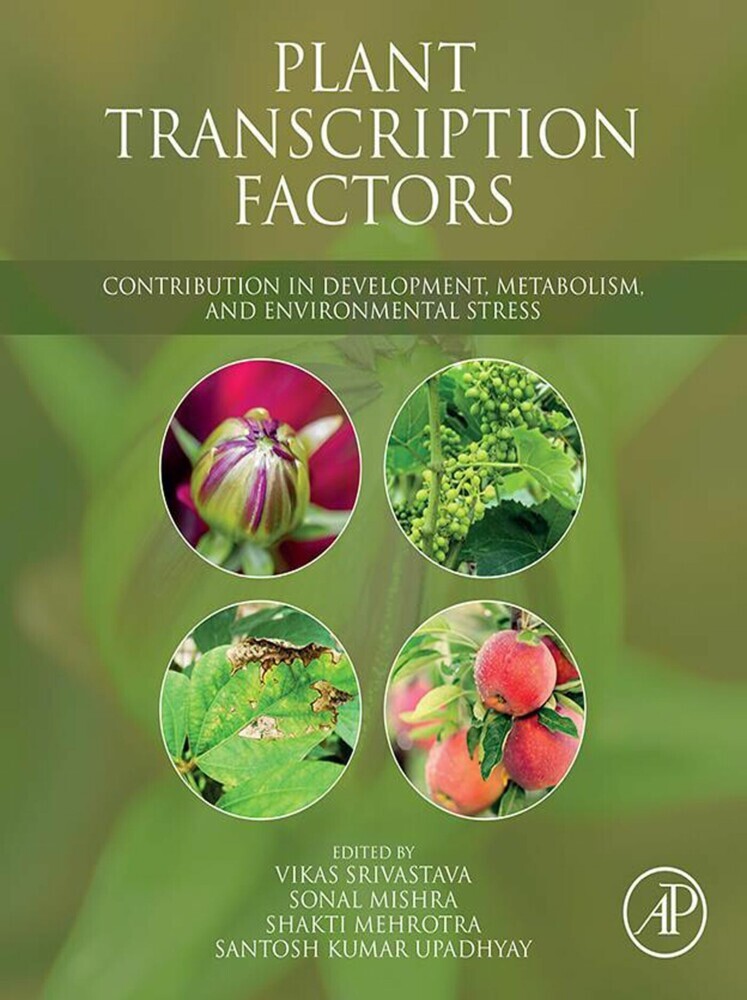 Plant Transcription Factors main product photo