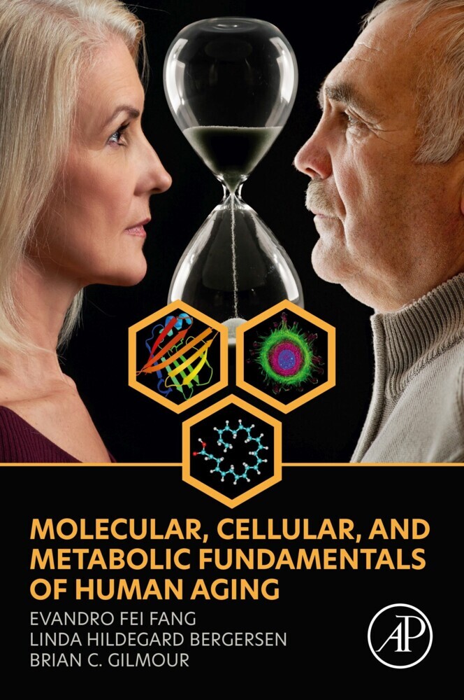 Molecular, Cellular, and Metabolic Fundamentals of Human Aging main product photo
