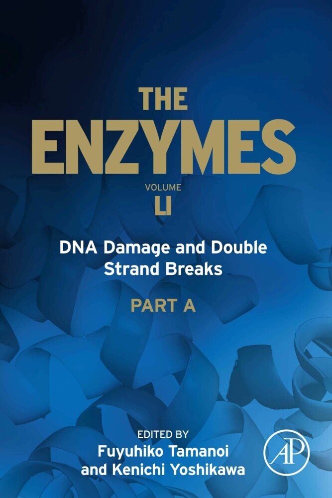 DNA Damage and Double Strand Breaks main product photo