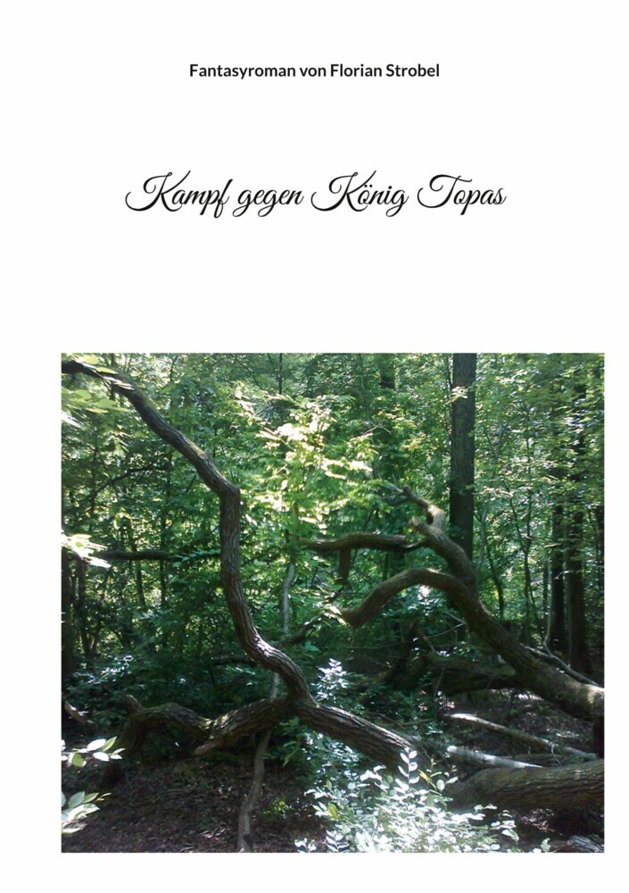 Kampf gegen König Topas main product photo