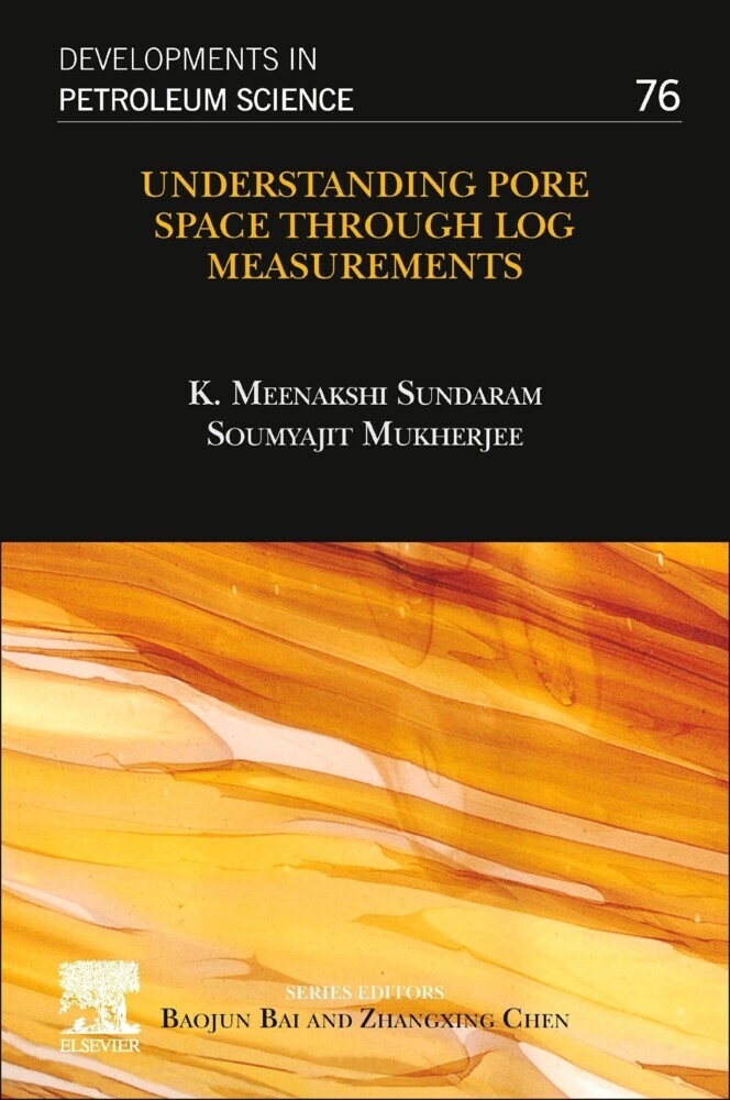 Understanding Pore Space through Log Measurements main product photo