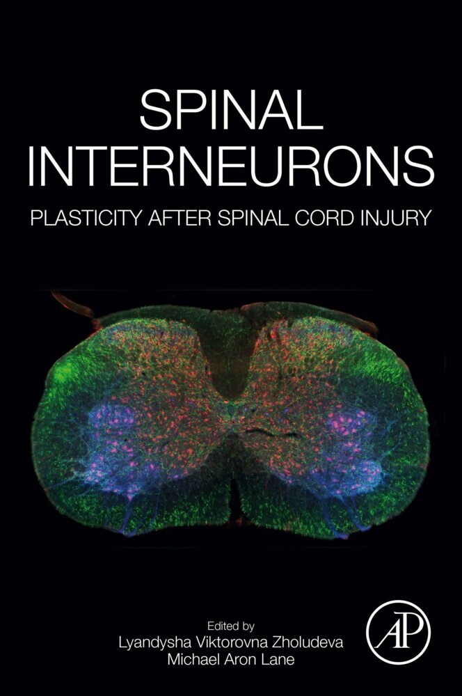 Spinal Interneurons main product photo