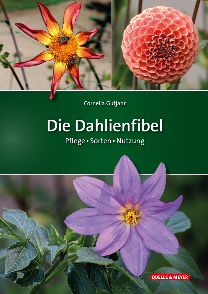 Die Dahlienfibel main product photo