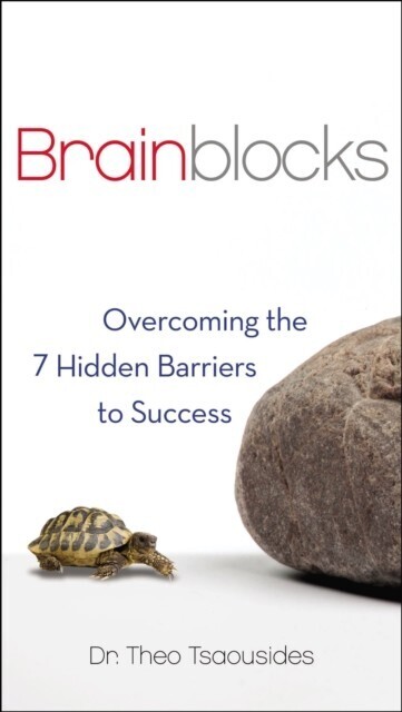Brainblocks main product photo