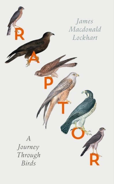Raptor: A Journey Through Birds main product photo