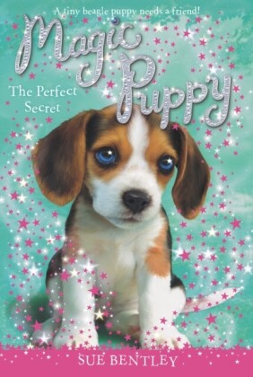 Perfect Secret #14