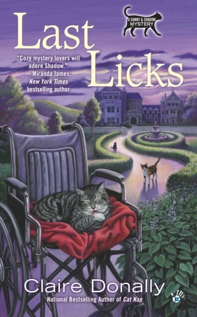 Last Licks main product photo