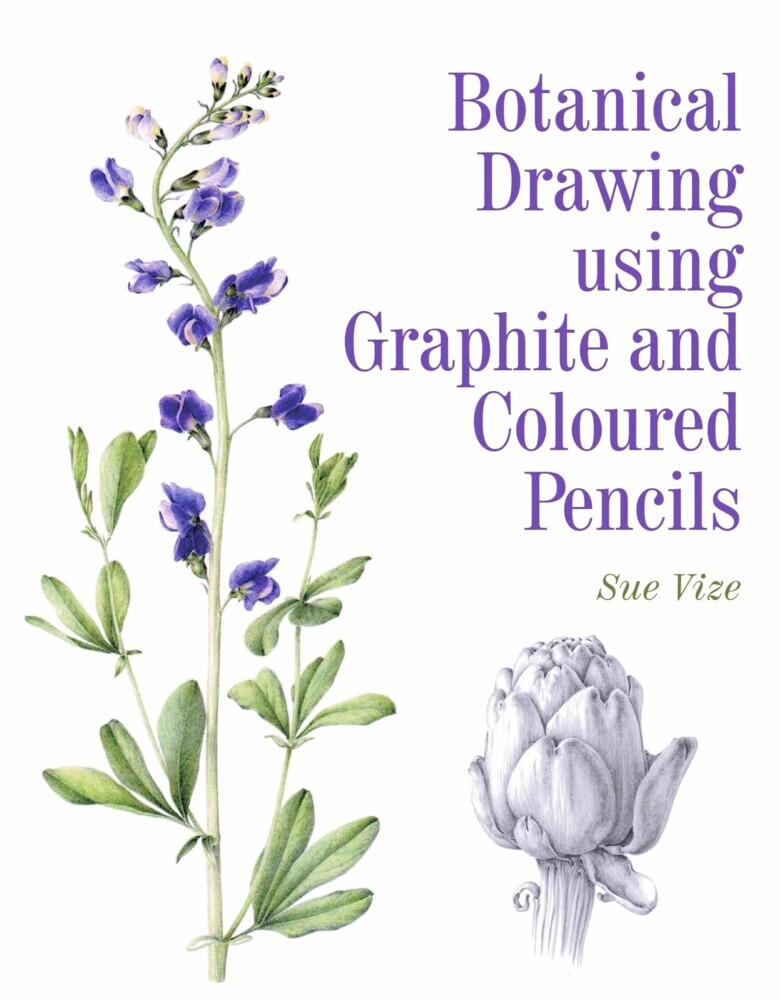 Botanical Drawing using Graphite and Coloured Pencils main product photo
