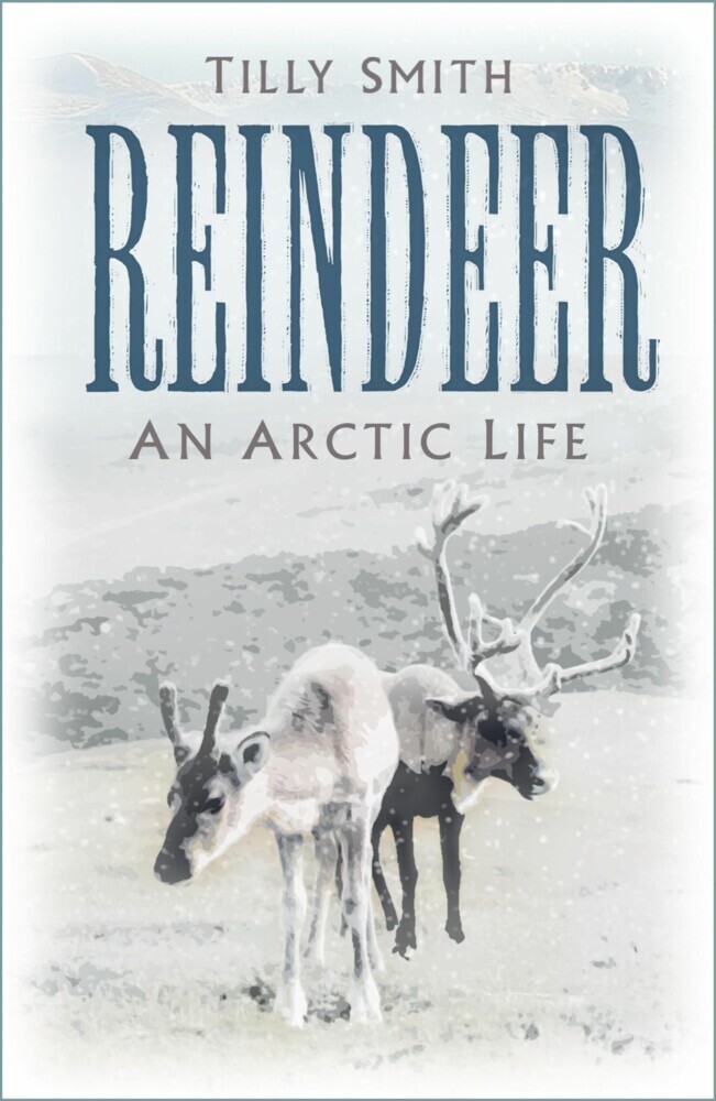 Reindeer main product photo