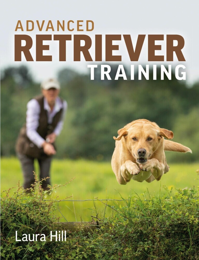 Advanced Retriever Training main product photo