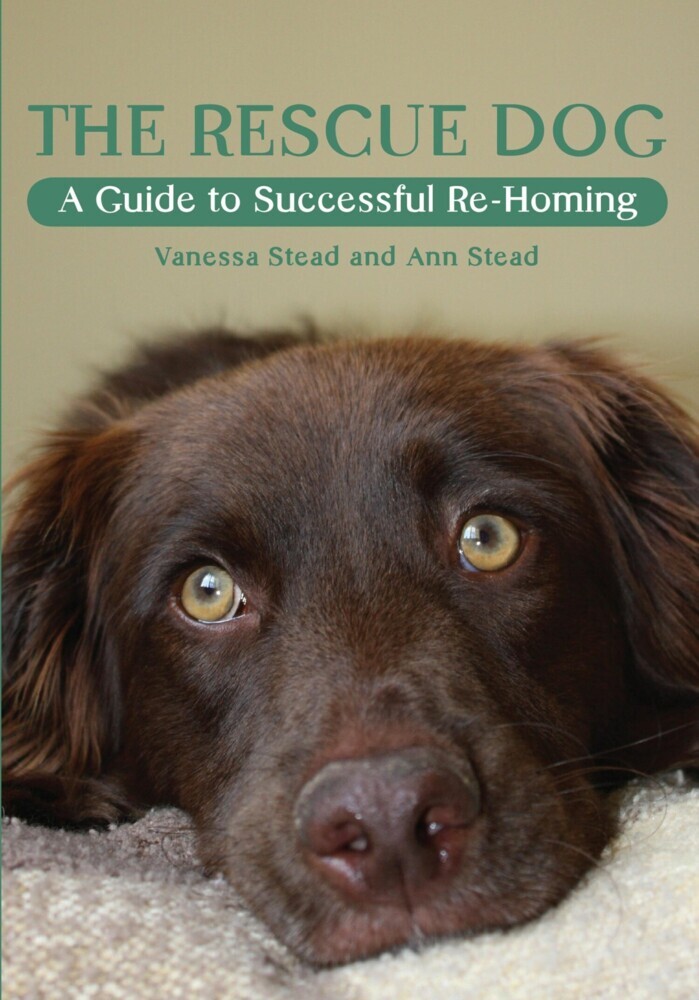 Rescue Dog main product photo
